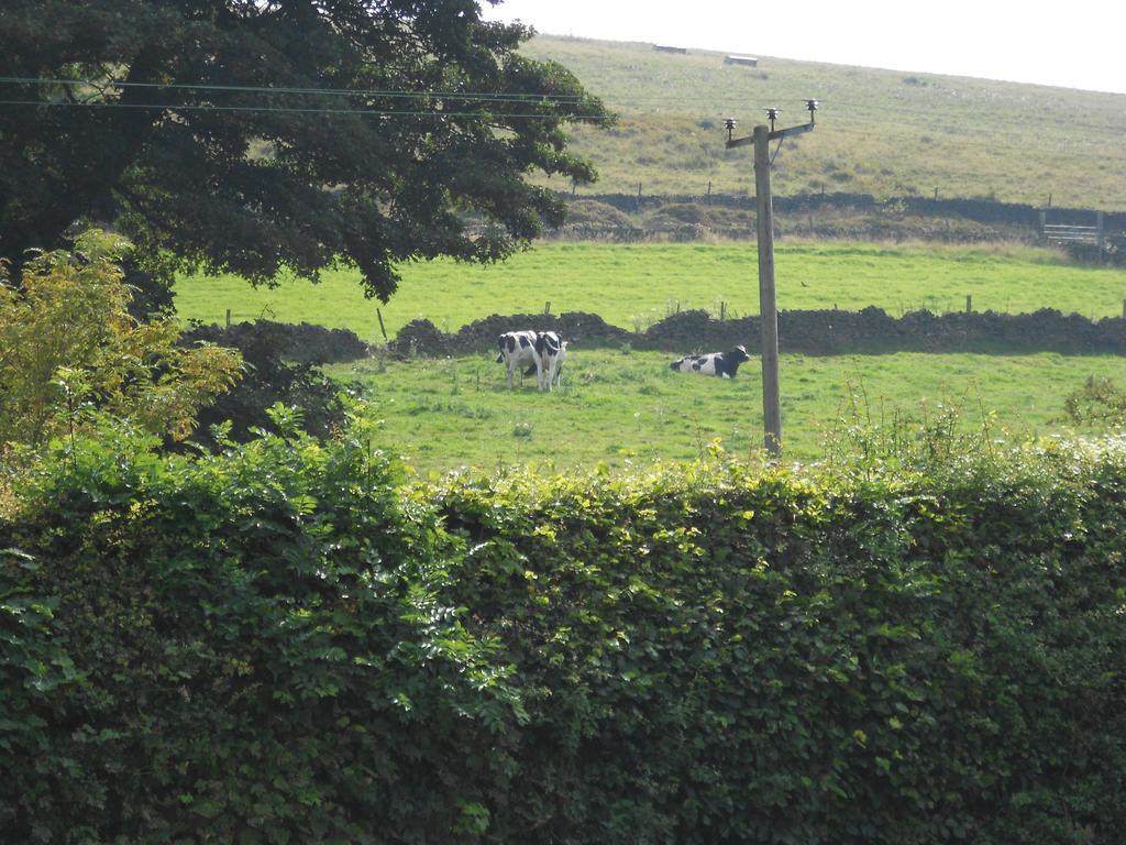 Whaley Bridge The Shady Oak B&B מראה חיצוני תמונה
